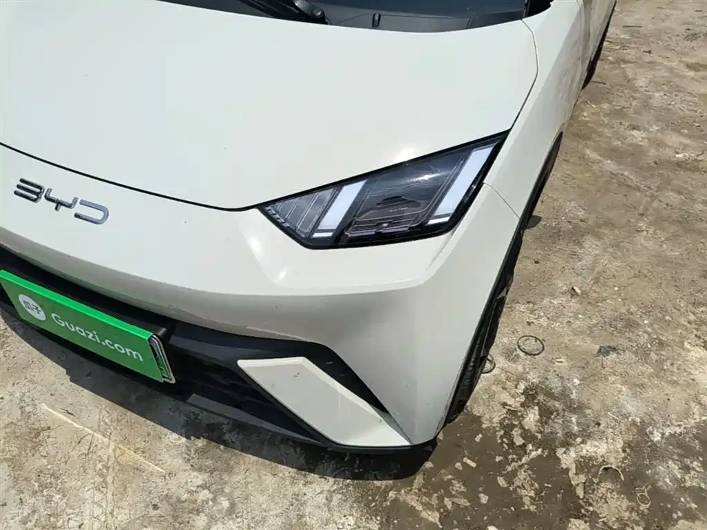 BYD Seagull 2023 Freedom Edition фото 24