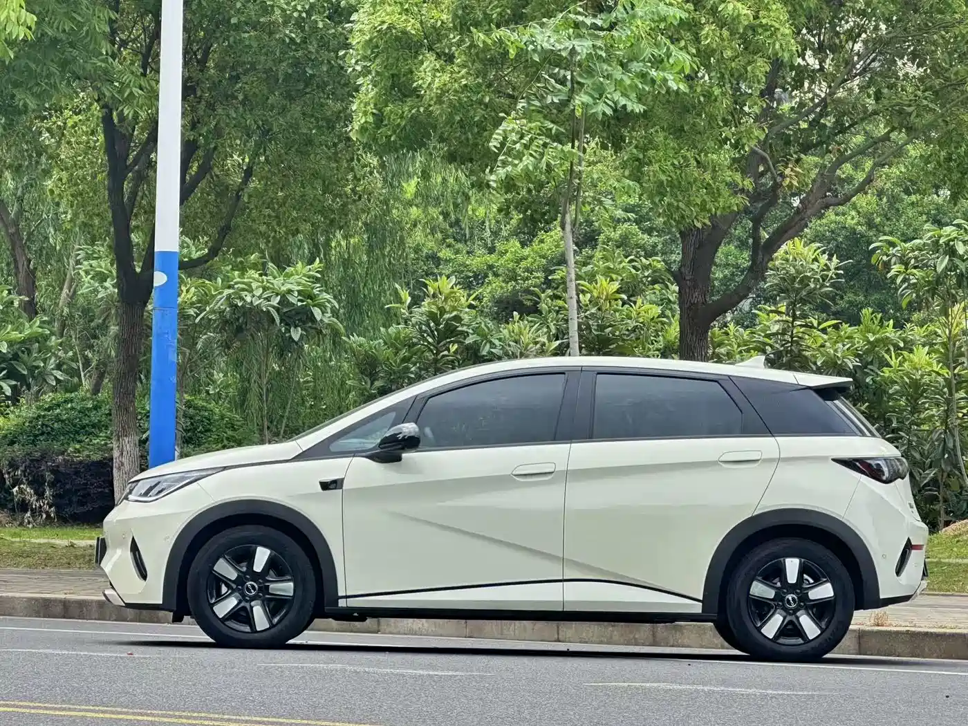 BYD Dolphin 2025 Smart Drive Edition 410km Fashion Version фото 3