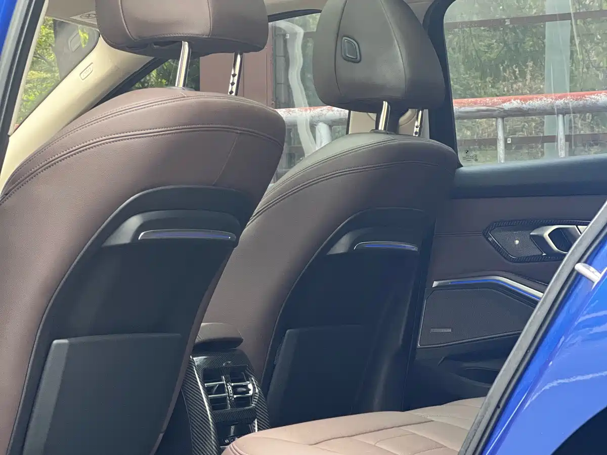 BMW 3 Series 2020 325Li M Sport Black Night Package фото 12