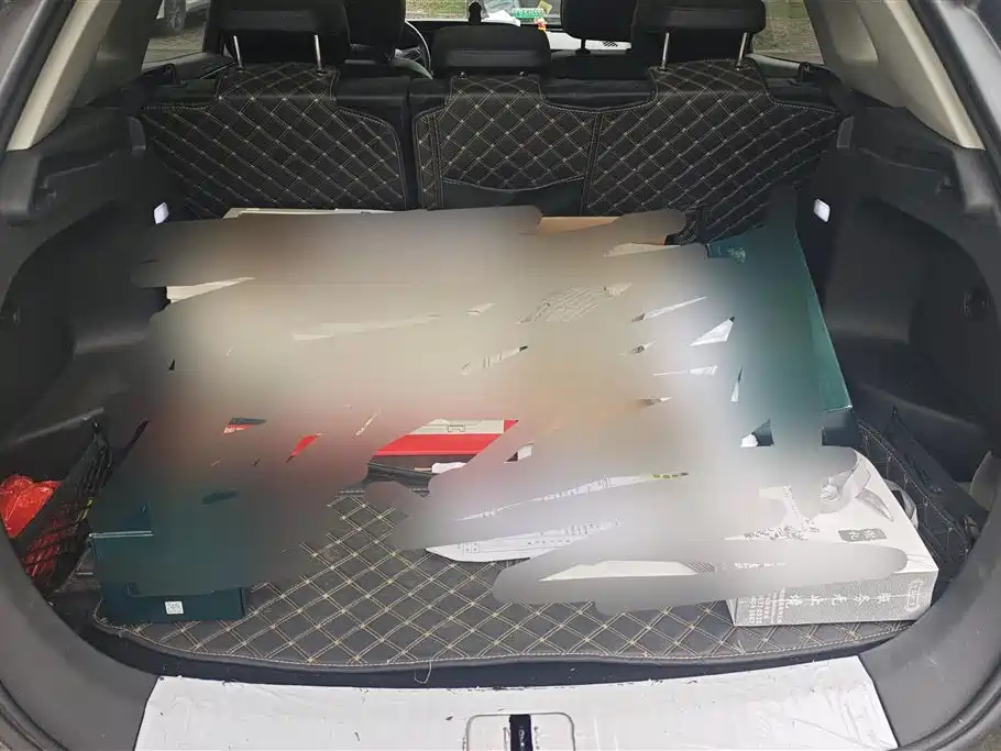 Hongqi HS5 2022 2.0T Smart Connect Premium Edition фото 4