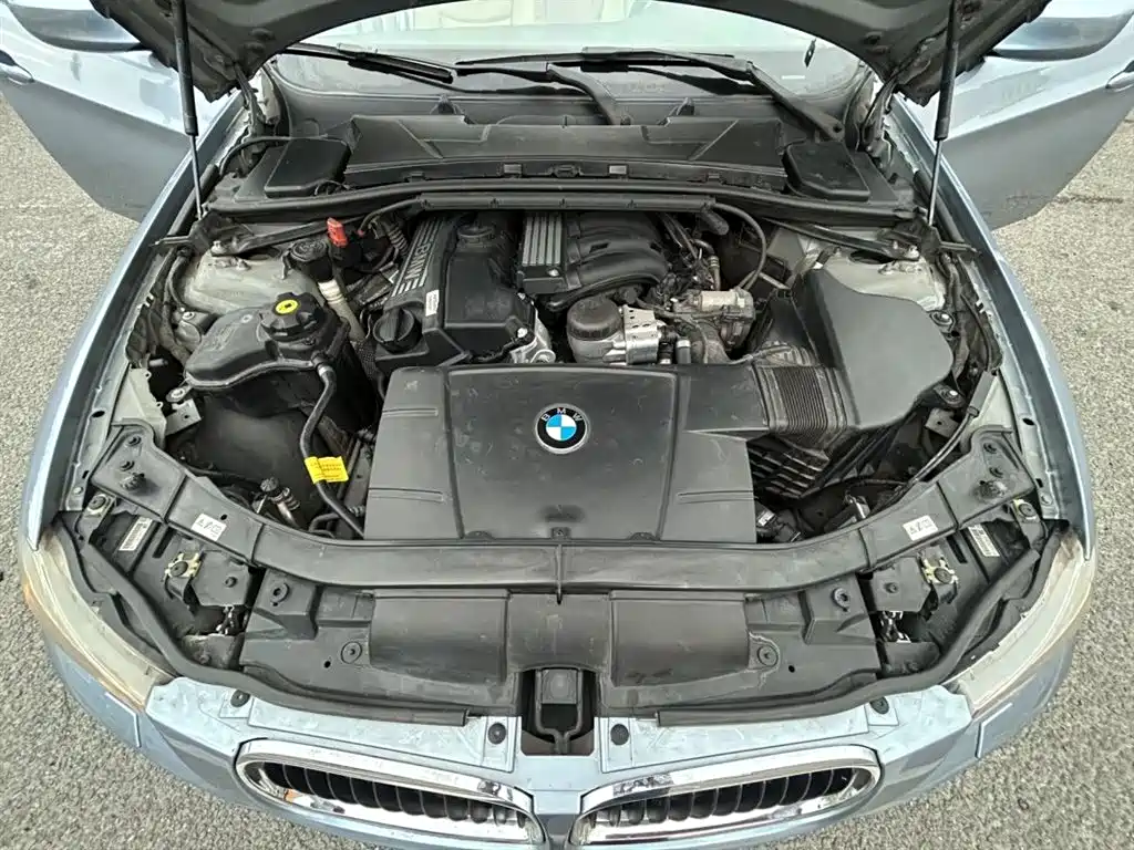 BMW 3 Series (Import) 2012 318i Leading фото 14