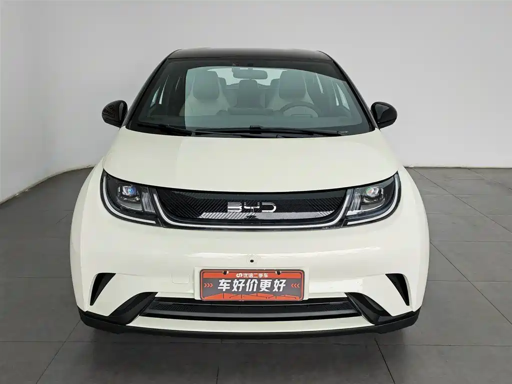 BYD Dolphin 2025 420km Freedom Edition фото 3