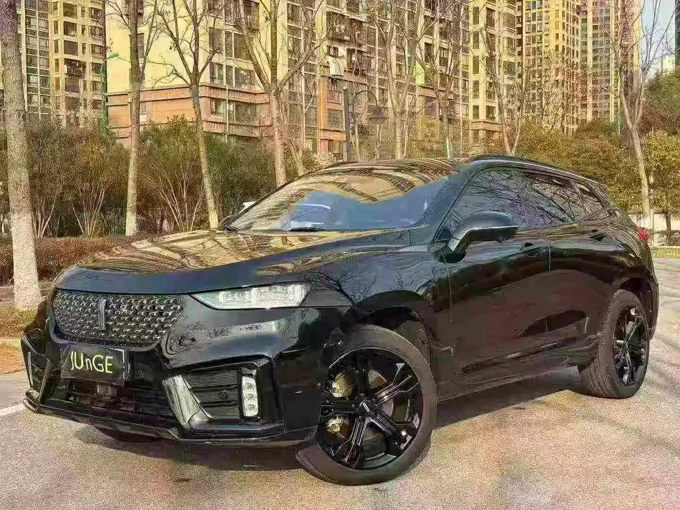 WEY VV7 2020 2020 2.0T Super Luxury