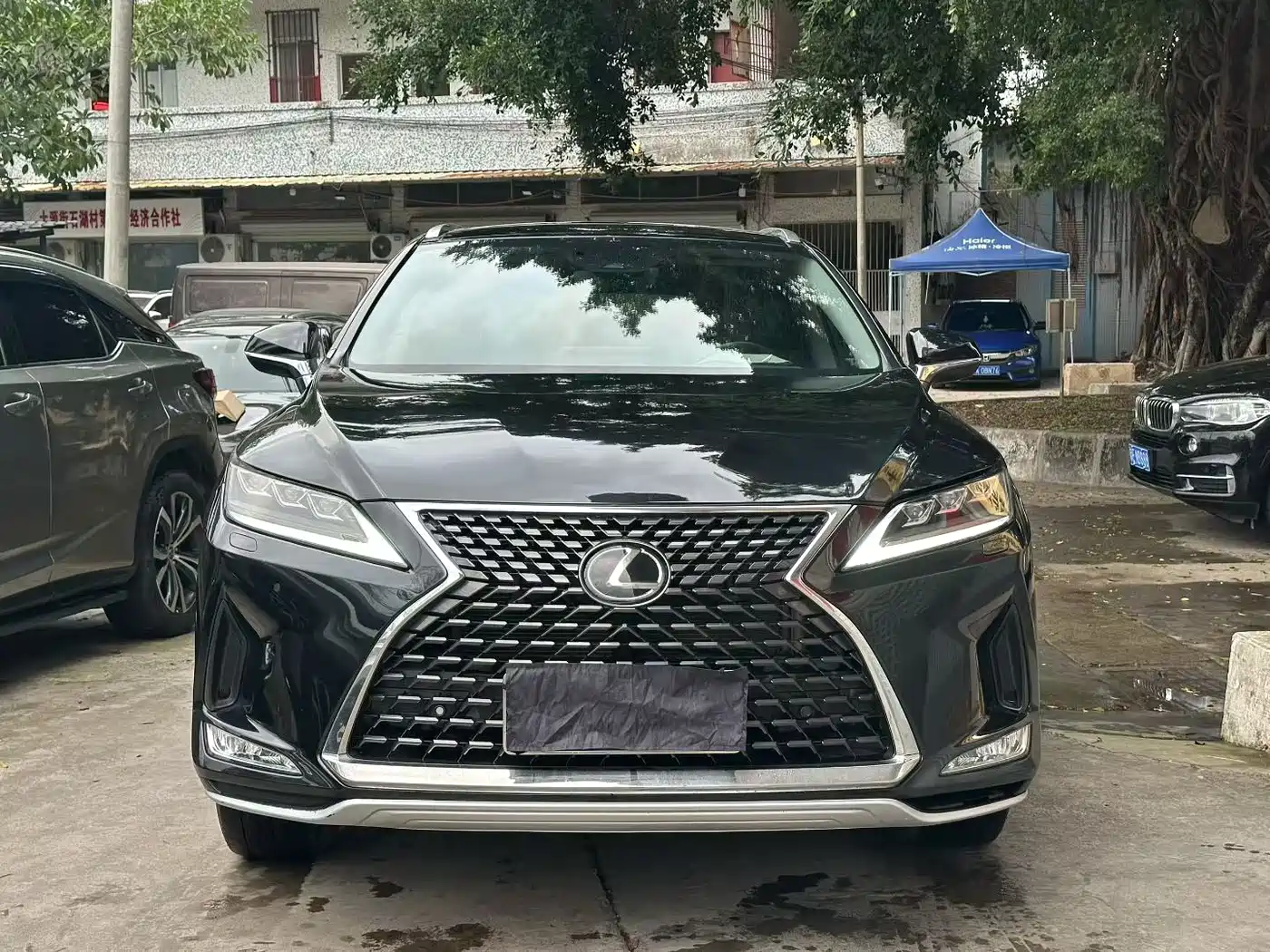 Lexus RX 2020 300 4WD Elegance Edition China VI фото 2