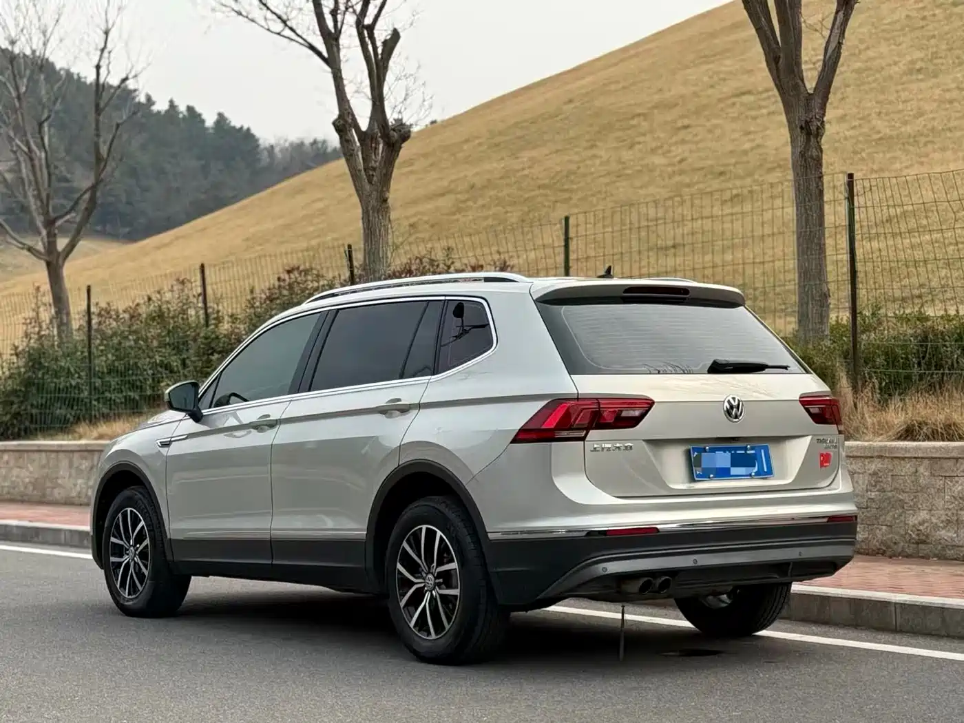 Volkswagen Tiguan L 2018 330TSI Automatic 2WD Luxury Edition фото 4