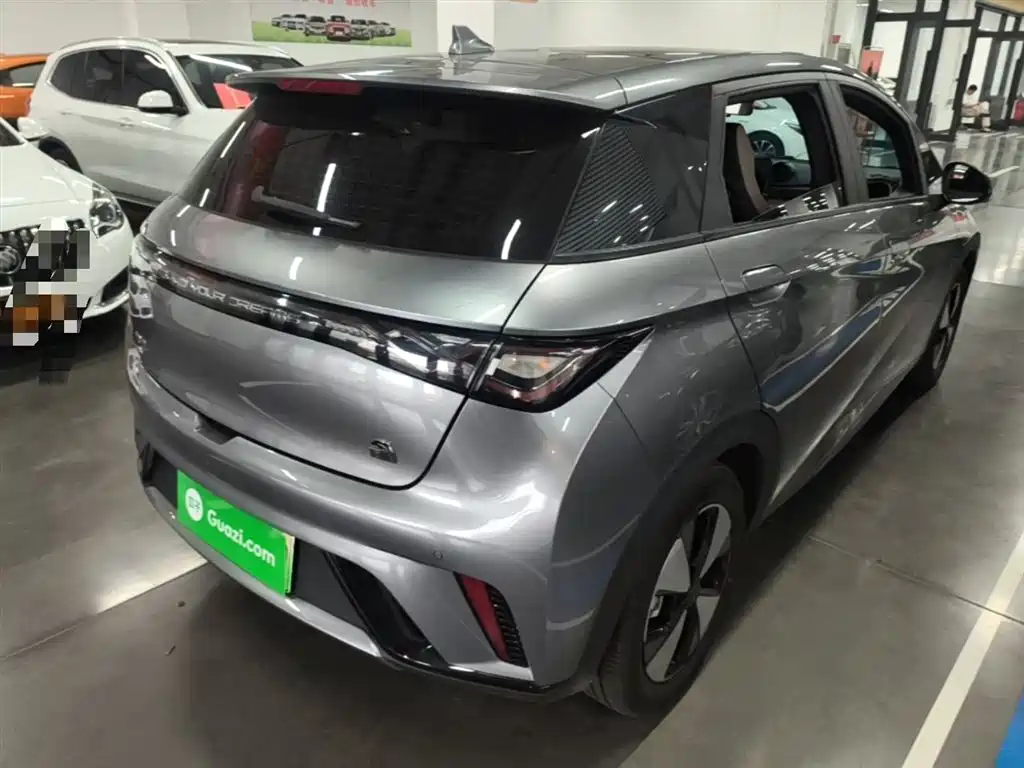 BYD Dolphin 2023 420km Fashion Edition фото 7