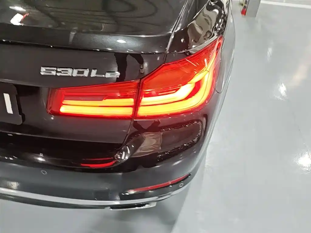 BMW 5 Series New Energy 2019 Facelift 530Le Luxury Package фото 8