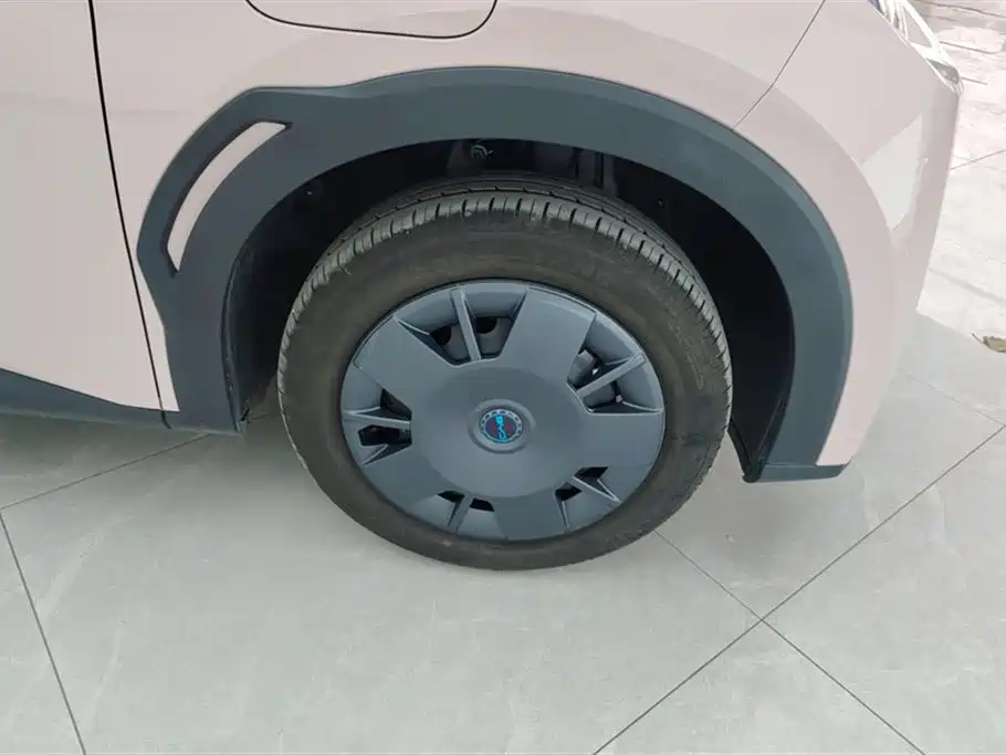 BYD Seagull 2025 Smart Drive Edition 305km Vitality Version фото 6