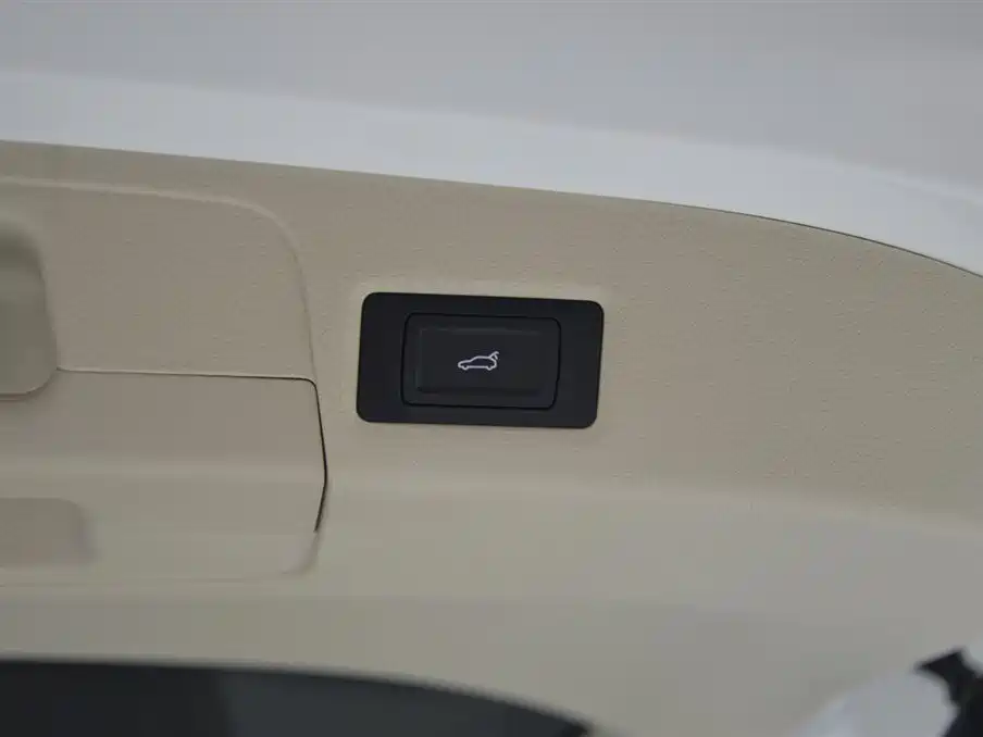 Voyah Auto Voyah Dreamer 2024 PHEV Extended Range Flagship Edition фото 16