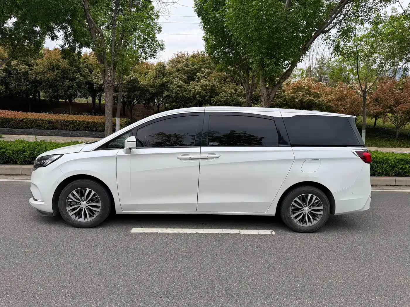 Buick GL8 2021 ES Landlord 653T Premium фото 3