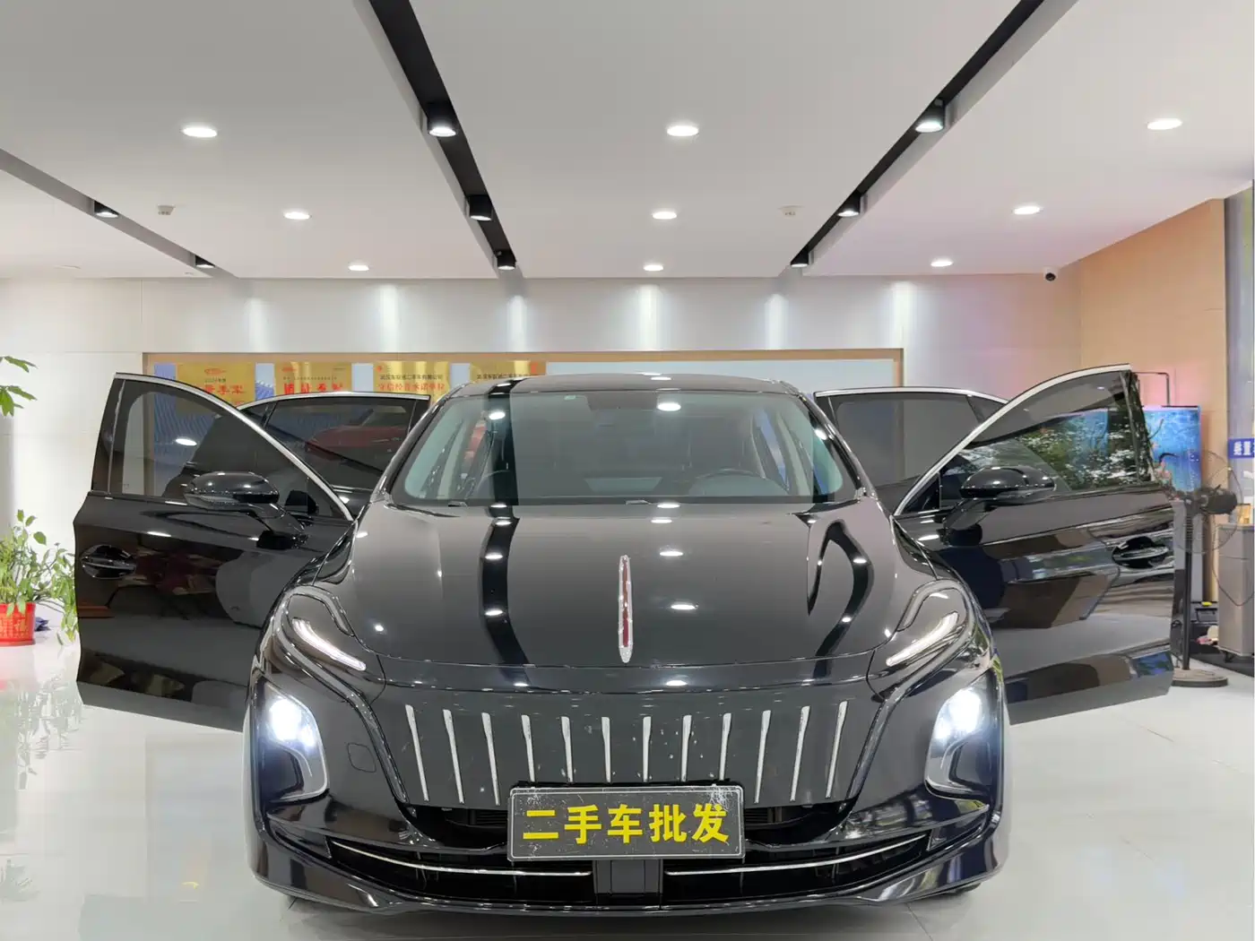 Hongqi E-QM5 2024 560km PLUS фото 16