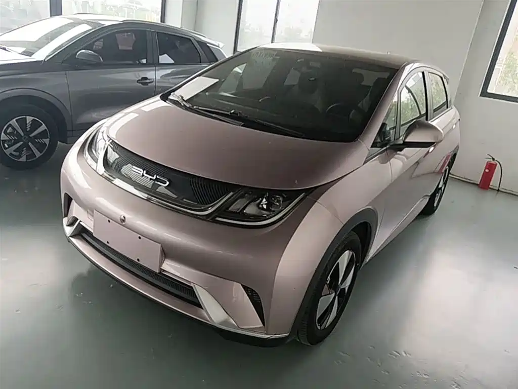 BYD Dolphin 2023 420km Freedom Edition