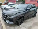Фото 1 - Changan Oshan Changan Oushang X5