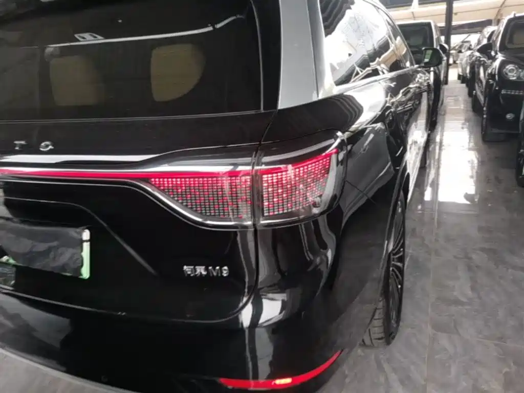 AITO Wenjie AITO M9 2025 Extended Range Ultra 52kWh 6-Seater фото 24