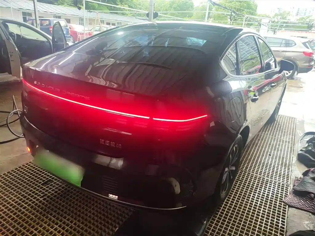 BYD Destroyer 05 2024 Glory Edition DM-i 55KM Luxury фото 7