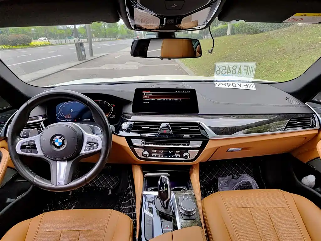 BMW 5 Series 2020 530Li Exclusive M Sport Package фото 10