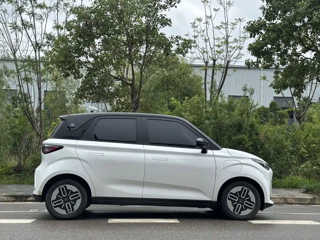 QQ New Energy Duomi 2025 2025 305km Comfort Edition
