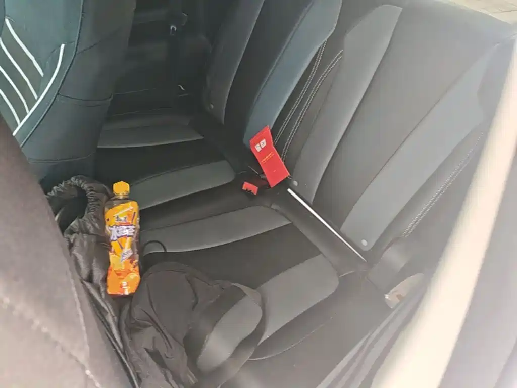 Roewe Kaiwei CLEVER 2023 2022 311km Vitality Bobo Edition