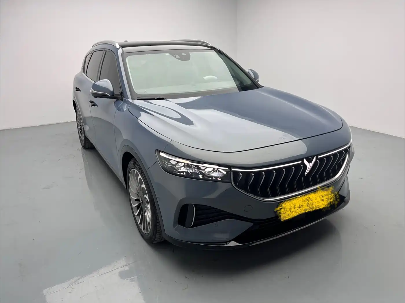 Voyah Auto VOYAH FREE 2021 AWD Standard Range Extender Exclusive Luxury Package фото 3