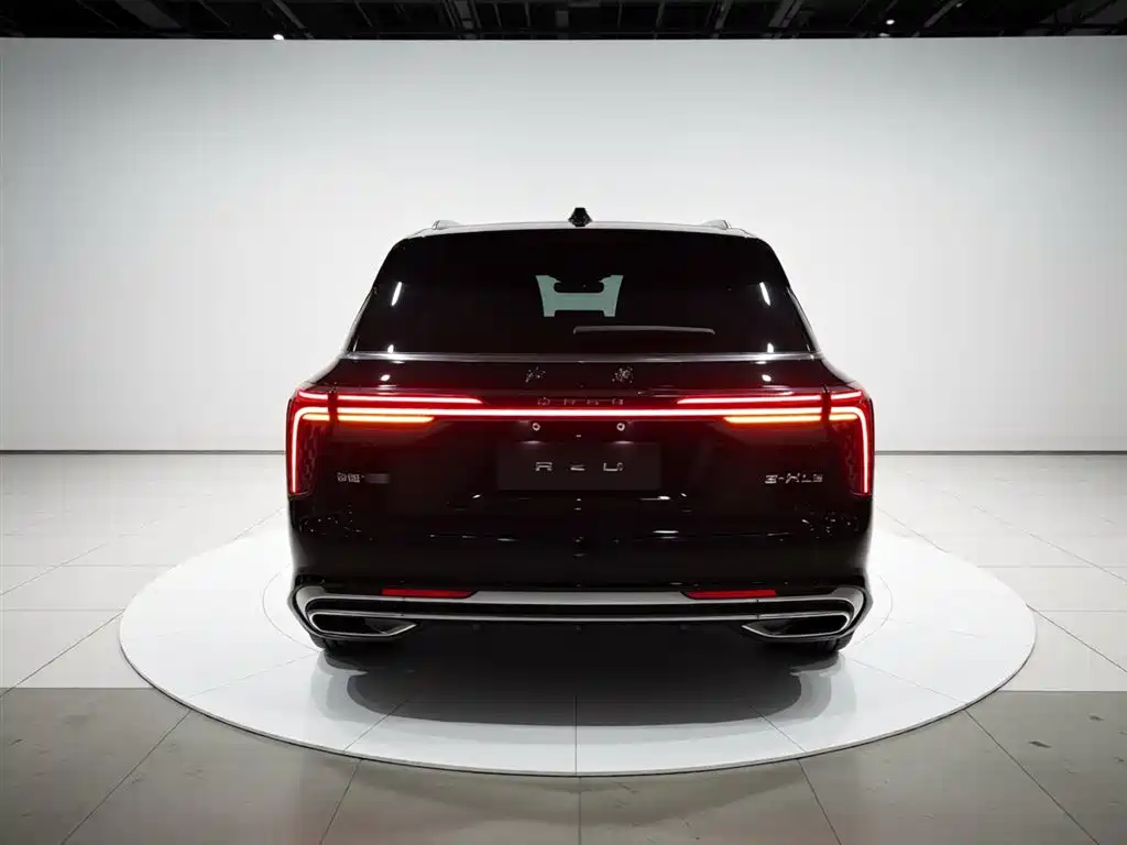 Hongqi E-HS9 2021 510km Flagship Comfort 6-seater фото 6