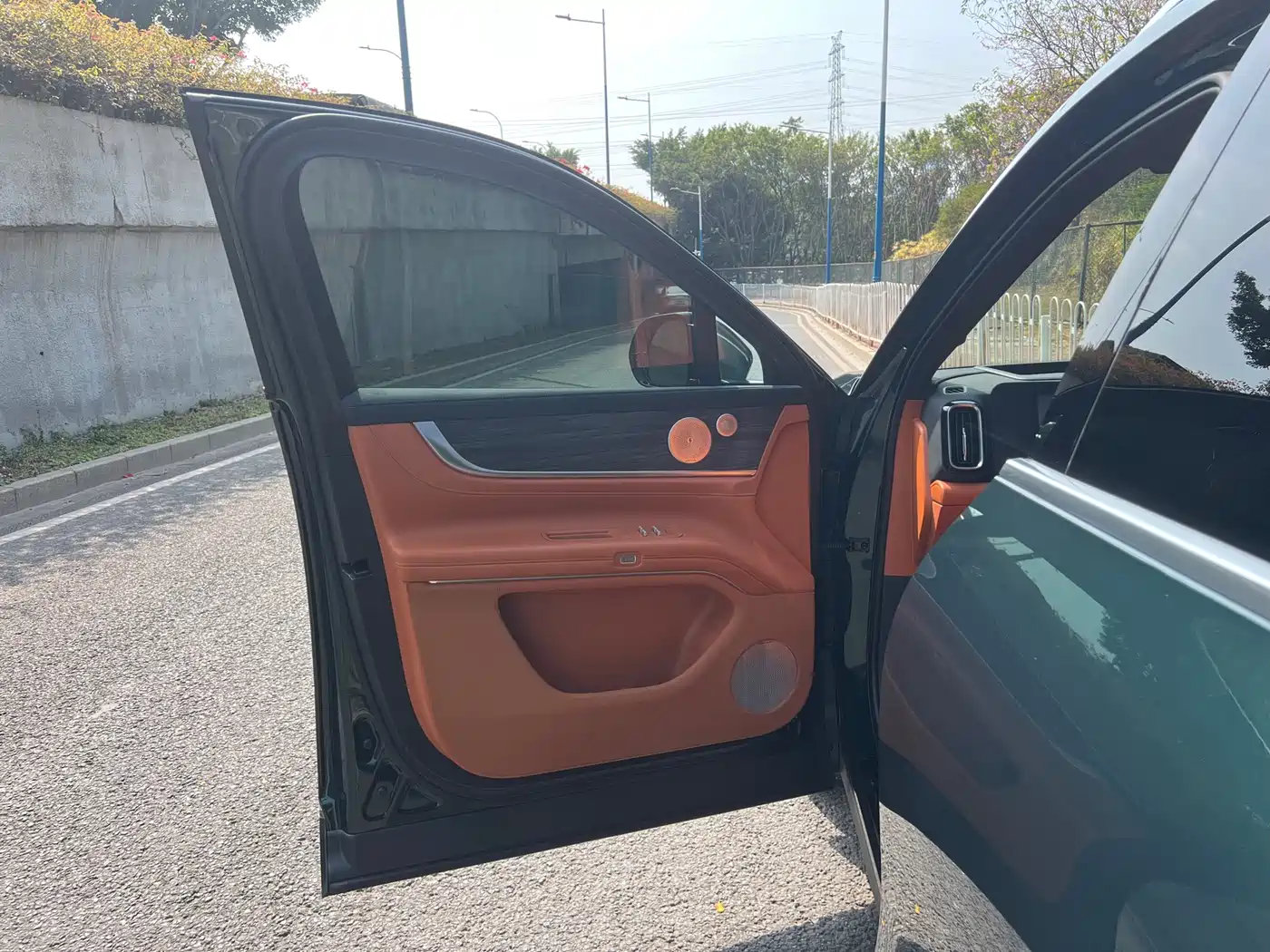 AITO Wenjie AITO M9 2024 Extended Range Ultra 42kWh 6-Seater фото 16