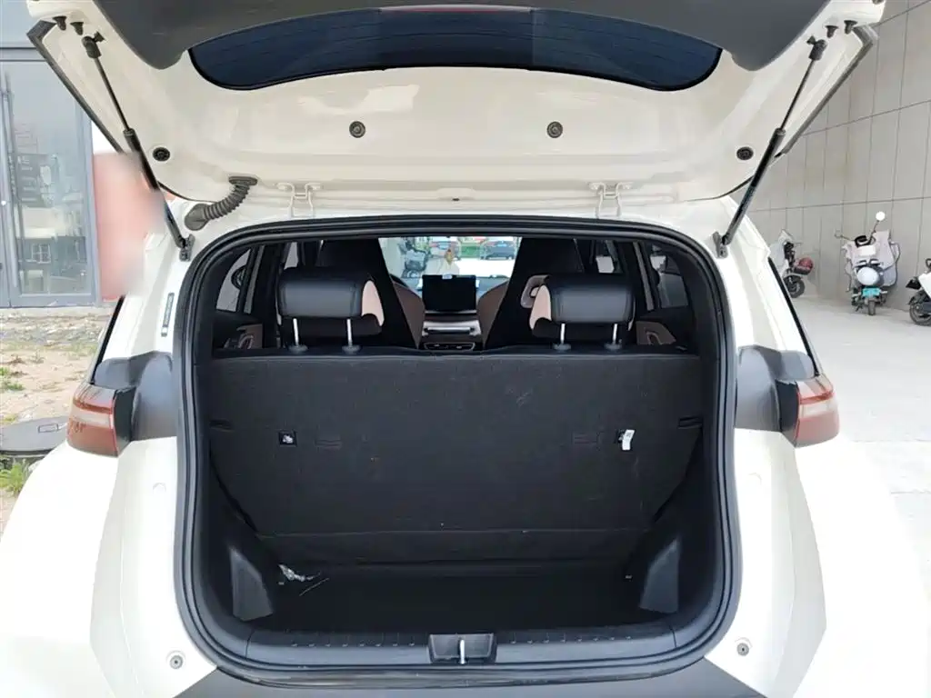 BYD Seagull 2024 Glory Edition 305km Vitality Edition фото 19