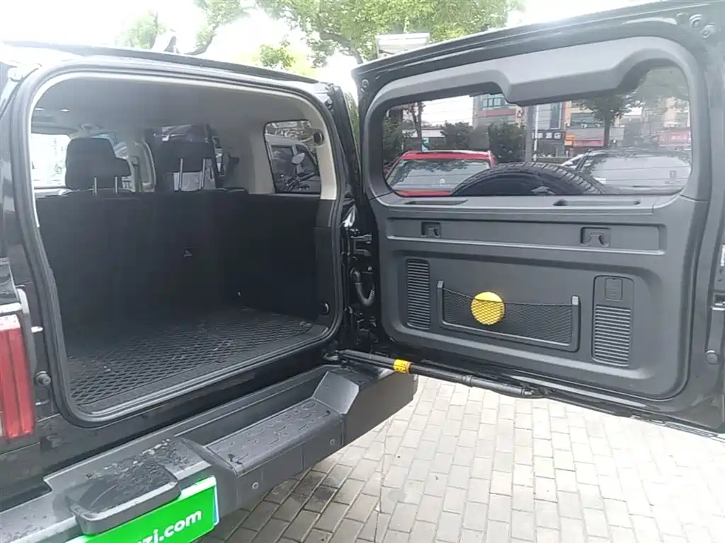 Tank 300 2023 Off-Road Edition 2.0T Conqueror фото 19