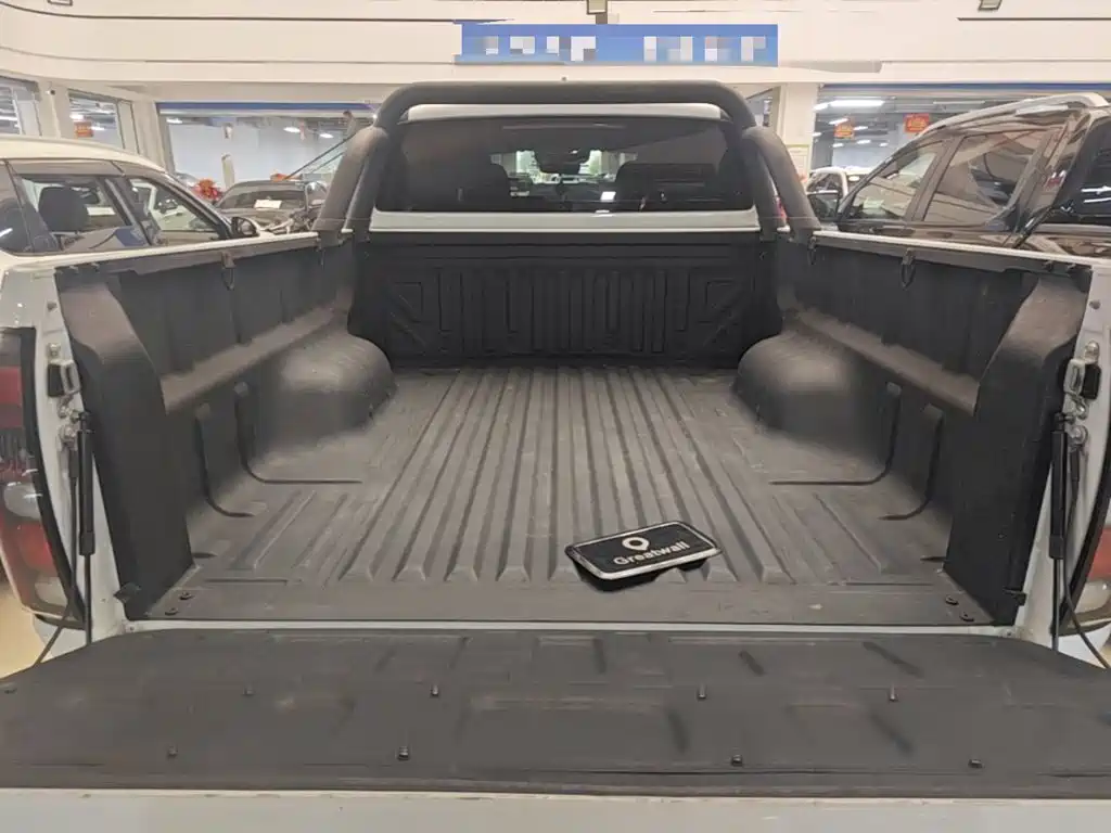Great Wall Pao 2025 2024 Model 2.4T Commercial Version Automatic Diesel 4WD Elite Type