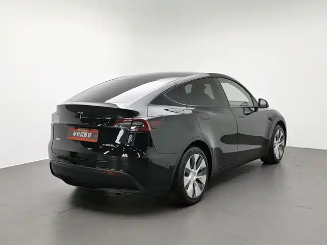 Tesla Model Y 2021 Standard Range Rear-Wheel Drive — фото 2