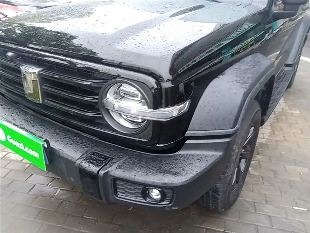 Tank 300 2023 Off-Road Edition 2.0T Conqueror фото 24