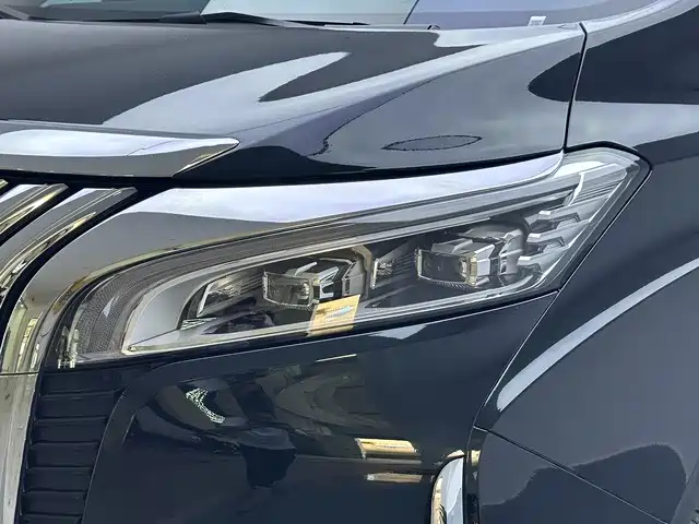 WEY Alpine 2024 2023 AWD Executive Long Wheelbase