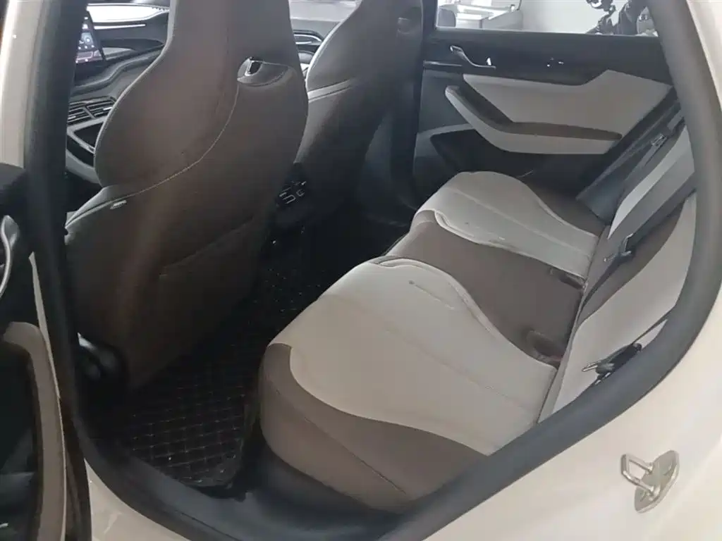BYD Qin PLUS 2024 Glory Edition DM-i 55KM Leading фото 17