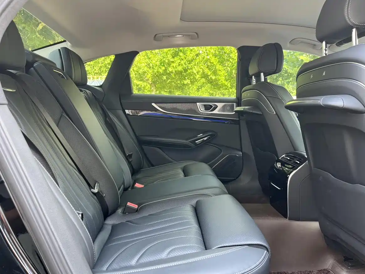 Hongqi H9 2024 2024 2.0T Qi Enjoy Luxury Business Edition