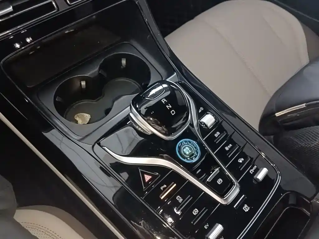 BYD Qin PLUS 2024 Glory Edition DM-i 55KM Leading фото 14