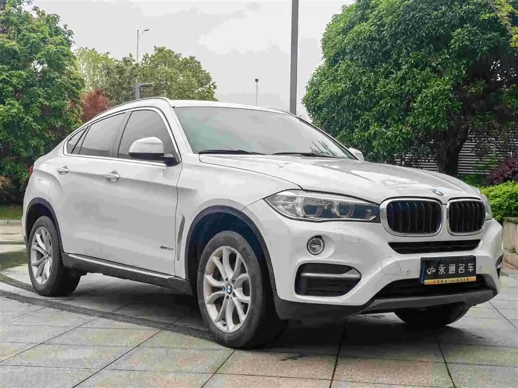 BMW X6 2015 xDrive35i Leading Type фото 3