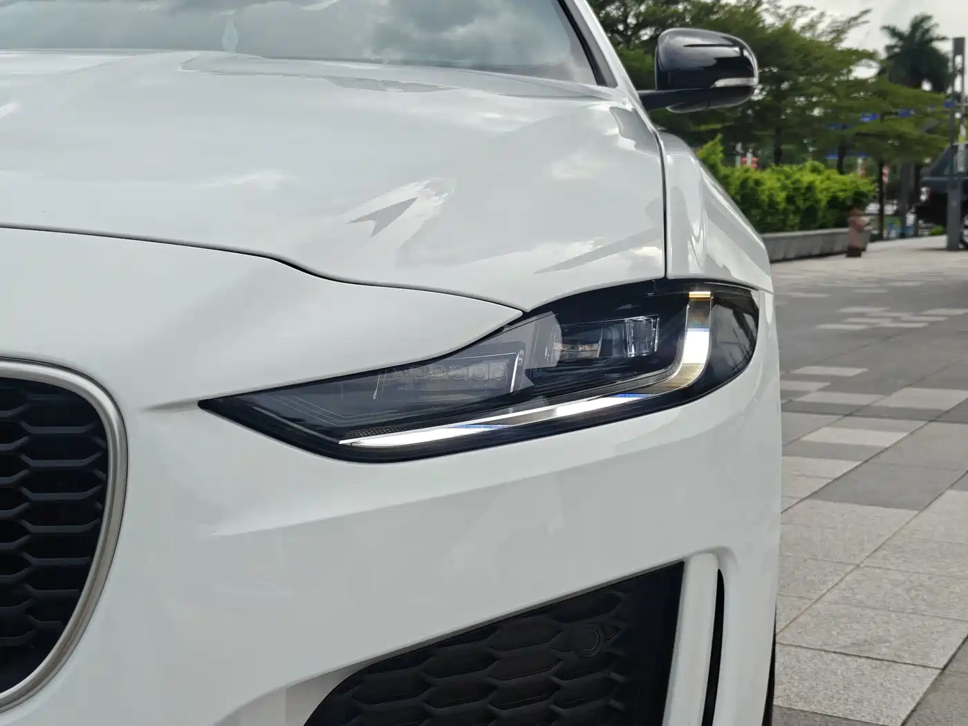 Jaguar XEL 2025 2024 Model 2.0T 250PS R-DYNAMIC S Progressive Sport Edition