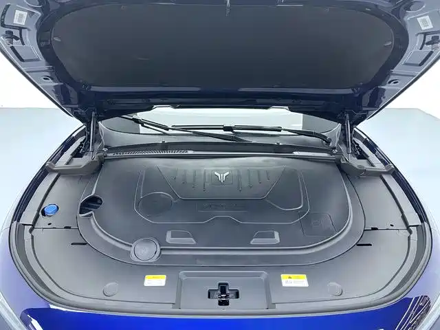 Voyah Auto VOYAH FREE 2021 AWD Standard Range Extender Exclusive Luxury Package фото 17
