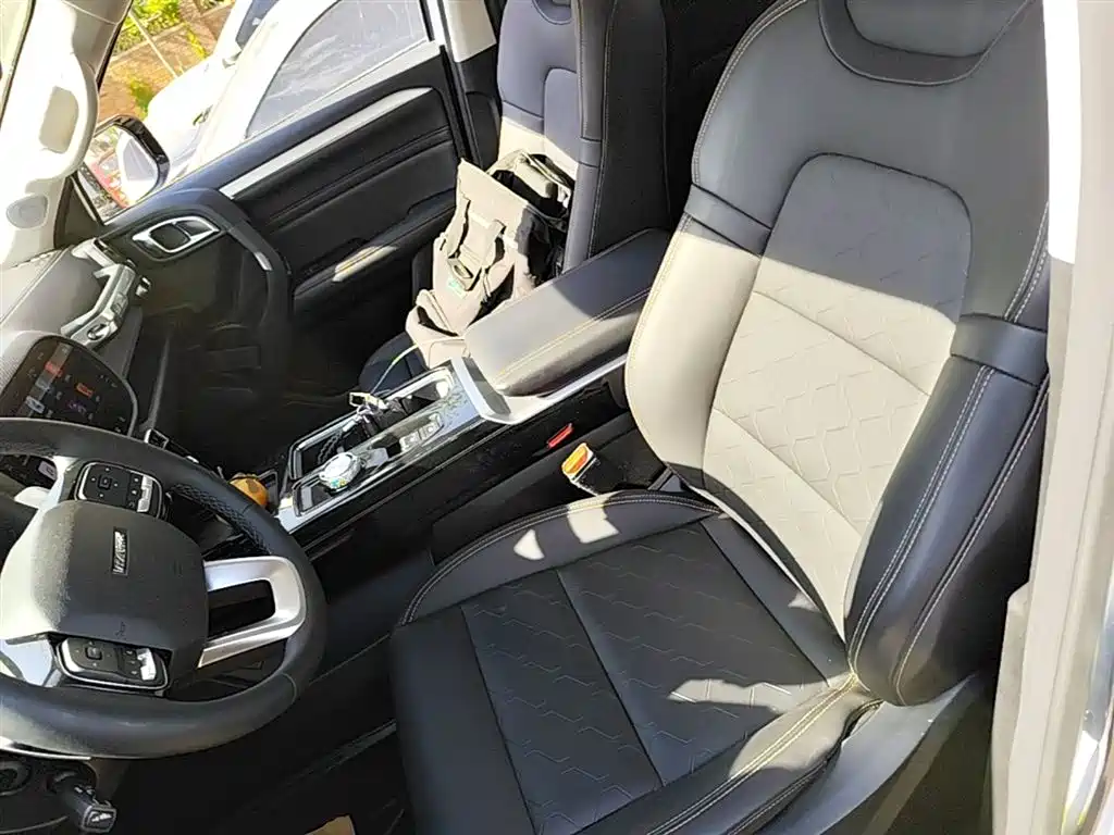 Haval Big Dog 2021 2.0T DCT 2WD Chinese Hound Edition фото 22