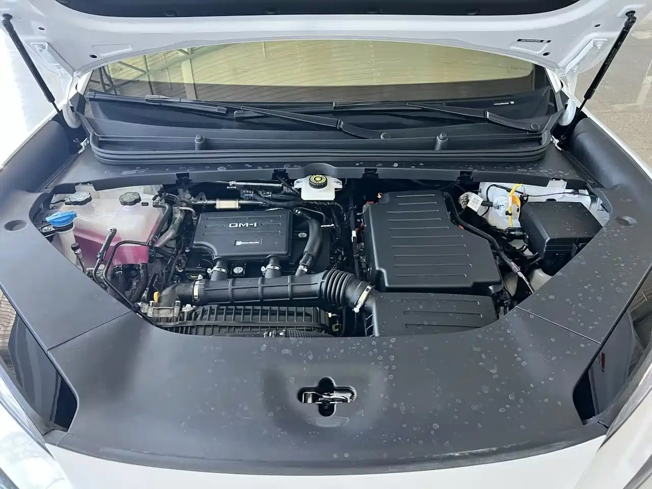 BYD Sealion 06 New Energy 2026 2025 DM-i 170 Pilot Pro Edition