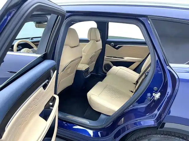 Voyah Auto VOYAH FREE 2021 AWD Standard Range Extender Exclusive Luxury Package фото 13