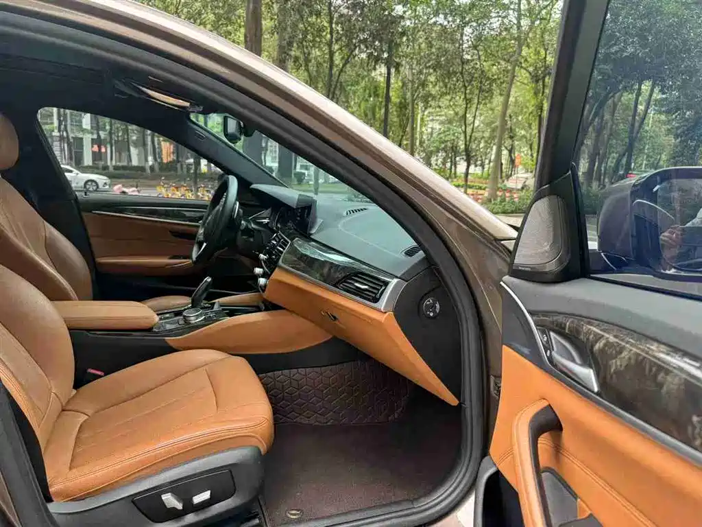 BMW 5 Series 2018 530Li Leading M Sport Package фото 8