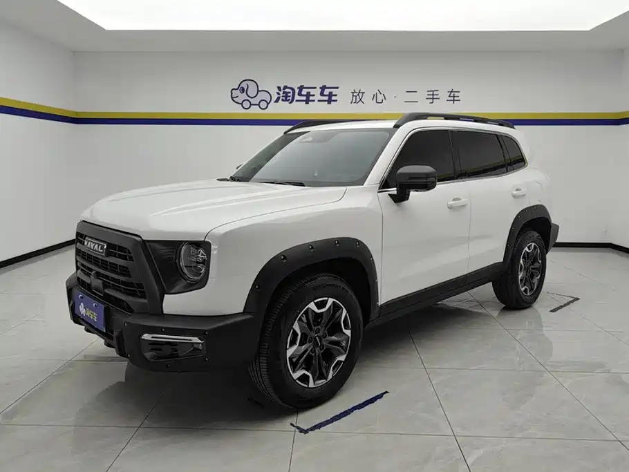 Haval Big Dog 2024 2.0T DCT Chinese Rural Dog Edition