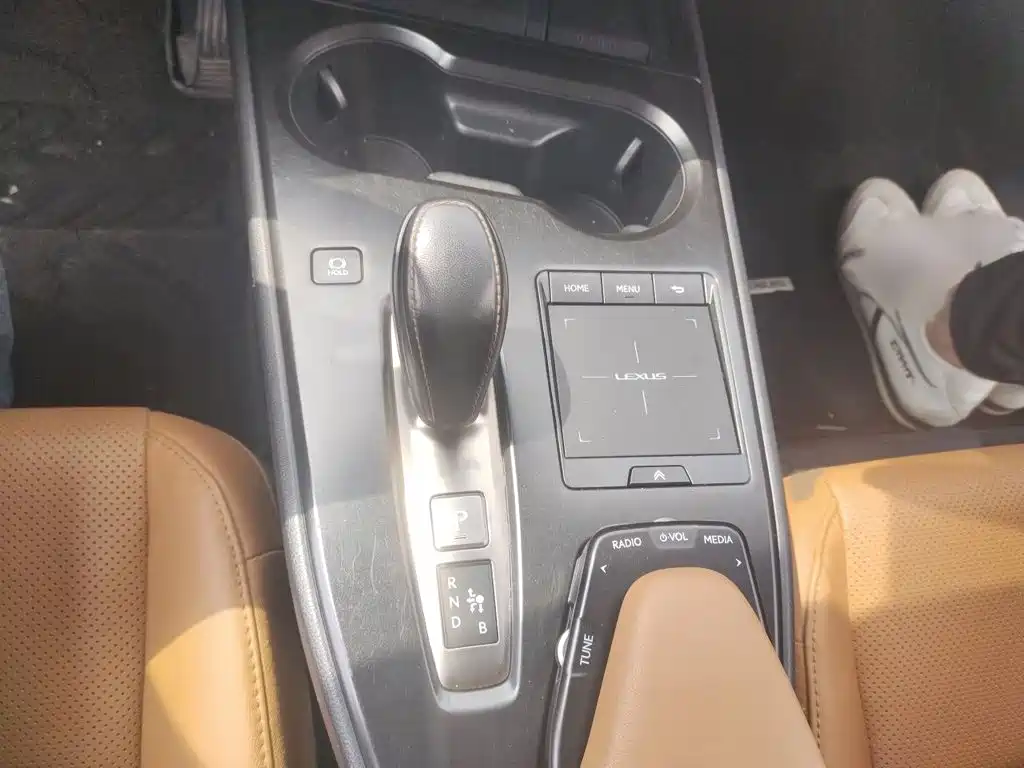 Lexus UX Electric 2021 2020 300e Pure Yue Edition