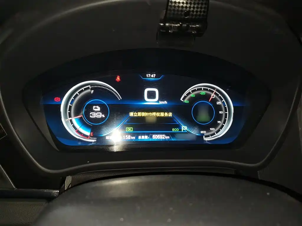 BYD Qin New Energy 2018 Qin EV450 Smart Connected Premium Edition фото 4