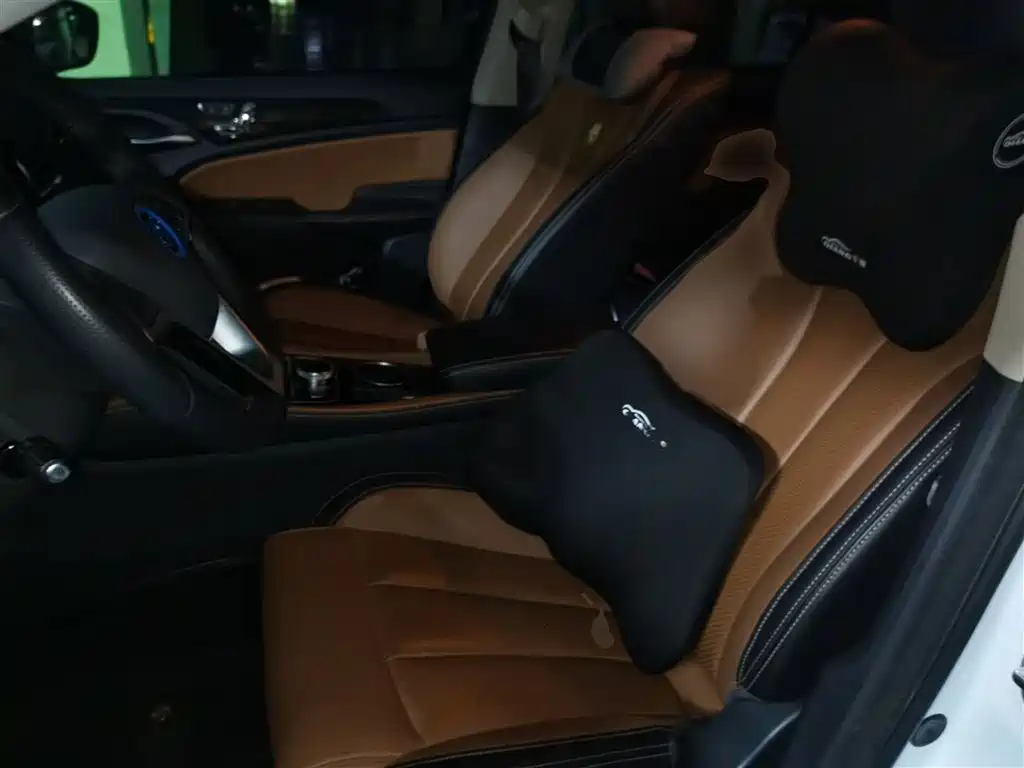 BYD Qin New Energy 2018 Qin EV450 Smart Connected Premium Edition фото 8