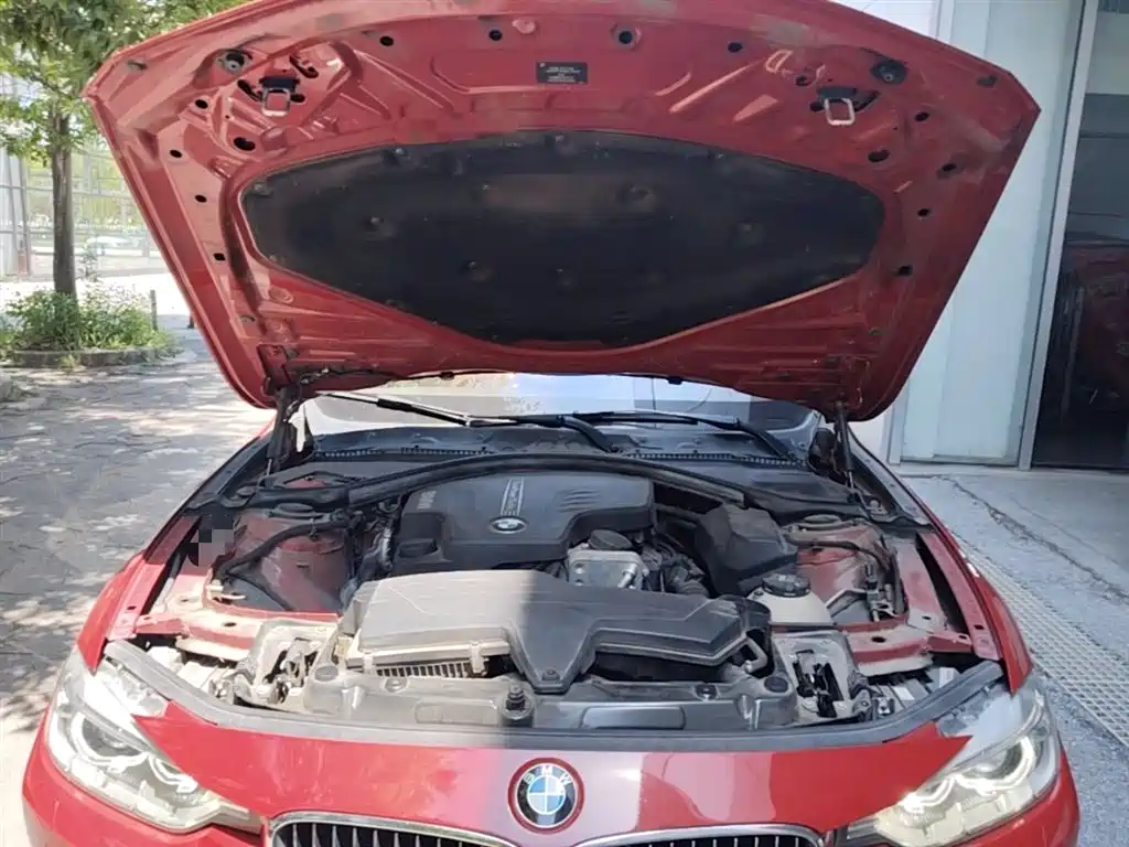 BMW 3 Series 2014 320Li Luxury Design Package фото 11