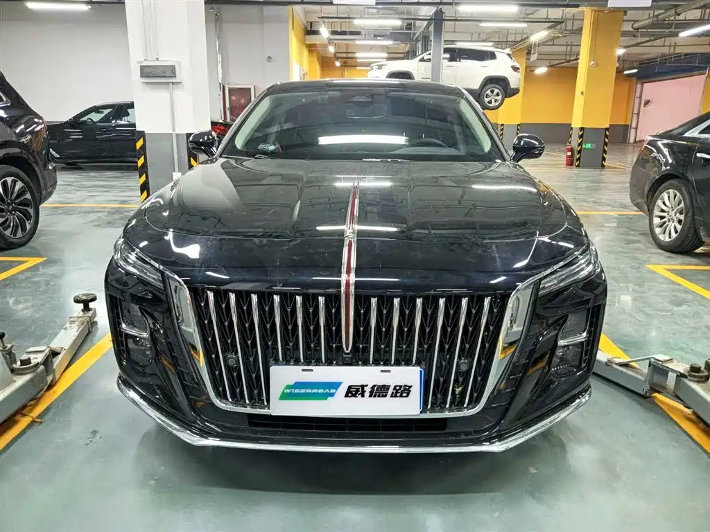 Hongqi H5 2023 2.0T Auto Smart Connect Flag Comfort фото 2