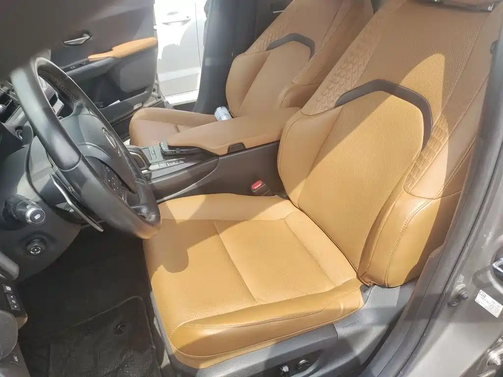 Lexus UX Electric 2021 2020 300e Pure Yue Edition