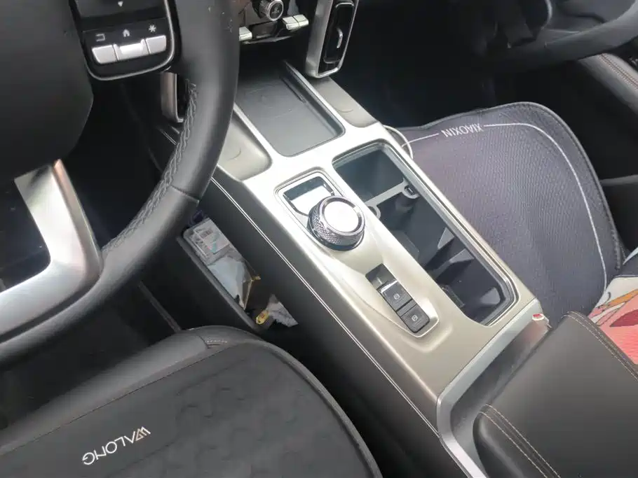 Haval Big Dog 2024 1.5T DCT Border Collie Edition фото 16