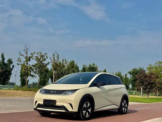  BYD Dolphin 2024 Glory Edition 420km Fashion Edition